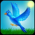 Shoot The Bird