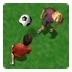 Indoor Football