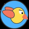 Crazy Birds HD
