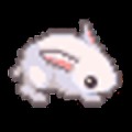Bunny Run