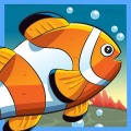 Fish Memory Puzzle加速器