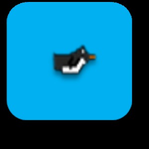 flap flap penguin加速器