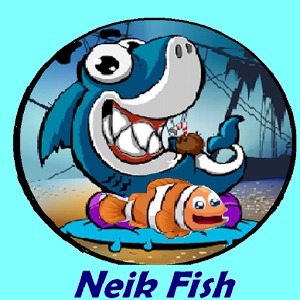 Neik Fish加速器