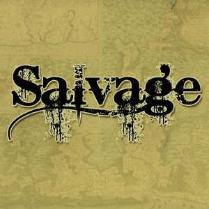 Salvage加速器