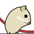 hamster