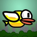 Antigravity Bird加速器