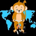 Wonder Monkey