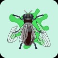 Catch!! Flies!!