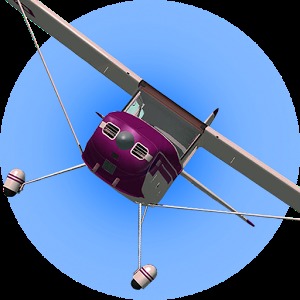 2D Plane Pilot加速器