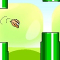 Flapper Bird