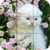 kittens Puzzle