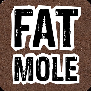 Fat Mole加速器