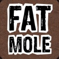 Fat Mole加速器