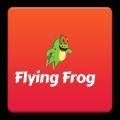 Drizzy Flying