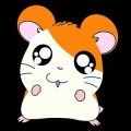 Stupid Rat