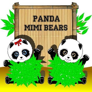 Panda mimi bears加速器