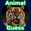 Animal Guess