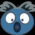 Koala Quiz