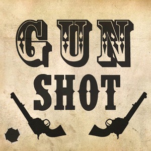 Gunshot加速器