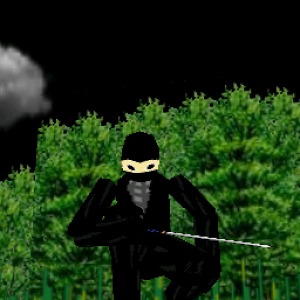 3D Ninja Game加速器