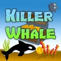 Killer Whale 2D Platform Game加速器