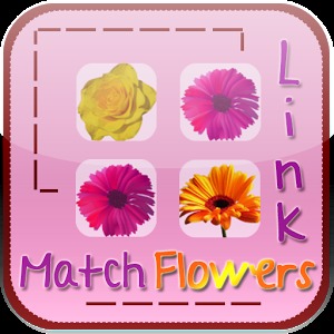 Match Flowers Link加速器