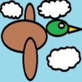 Swift Ducky
