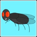Eduardo The Fly