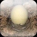 Tamago 3D