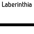 Laberinthia
