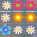 Flower Matching