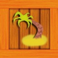 Tropical Boxes