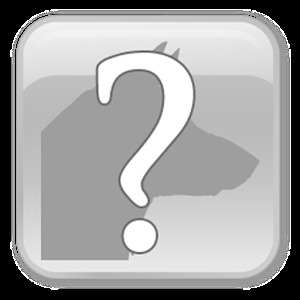 Who am I? Westeros加速器