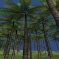 world-test