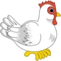 Chicken Memory Game