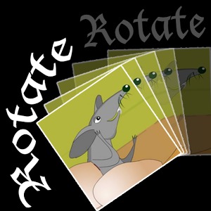 Rotator加速器