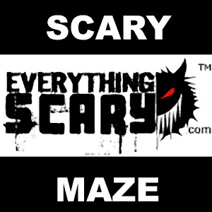 Scary Maze加速器