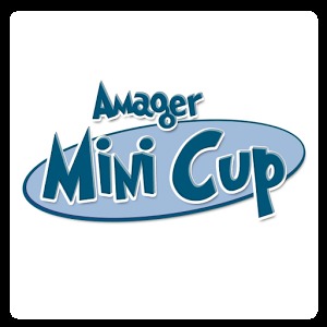 Amager Mini加速器