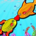 Fun Fish Love Kiss