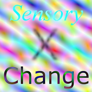 Sensory Exchange加速器