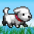 Flappy Pets - puppy bird cat!