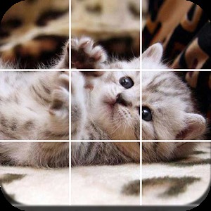 Jigsaw Puzzle Cats加速器