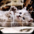 Jigsaw Puzzle Cats