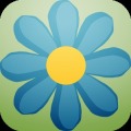 Flower Game FREE加速器