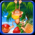 Monkey Fruit Shoot