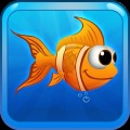 Clumsy Fish Nemo