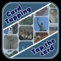 Card Tapping加速器