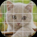 Tile Puzzle Cats (NoAds)
