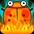 Bug Match Tale