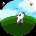 Panda Dream